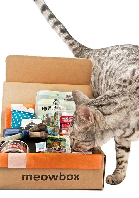 Cat subscription box. Things To Know About Cat subscription box. 